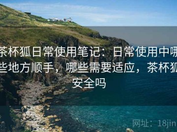 茶杯狐日常使用笔记：日常使用中哪些地方顺手，哪些需要适应，茶杯狐安全吗