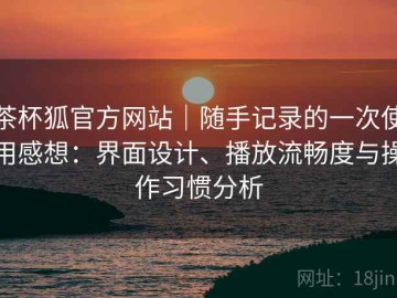 茶杯狐官方网站｜随手记录的一次使用感想：界面设计、播放流畅度与操作习惯分析
