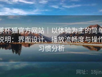茶杯狐官方网站｜以体验为主的简单说明：界面设计、播放流畅度与操作习惯分析