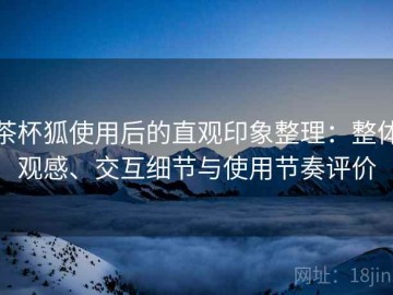 茶杯狐使用后的直观印象整理：整体观感、交互细节与使用节奏评价