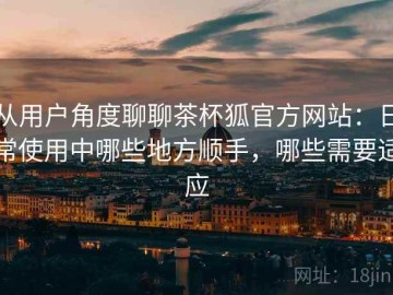 从用户角度聊聊茶杯狐官方网站：日常使用中哪些地方顺手，哪些需要适应